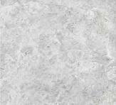 تندرا جراى فاتح